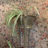 19th century planter