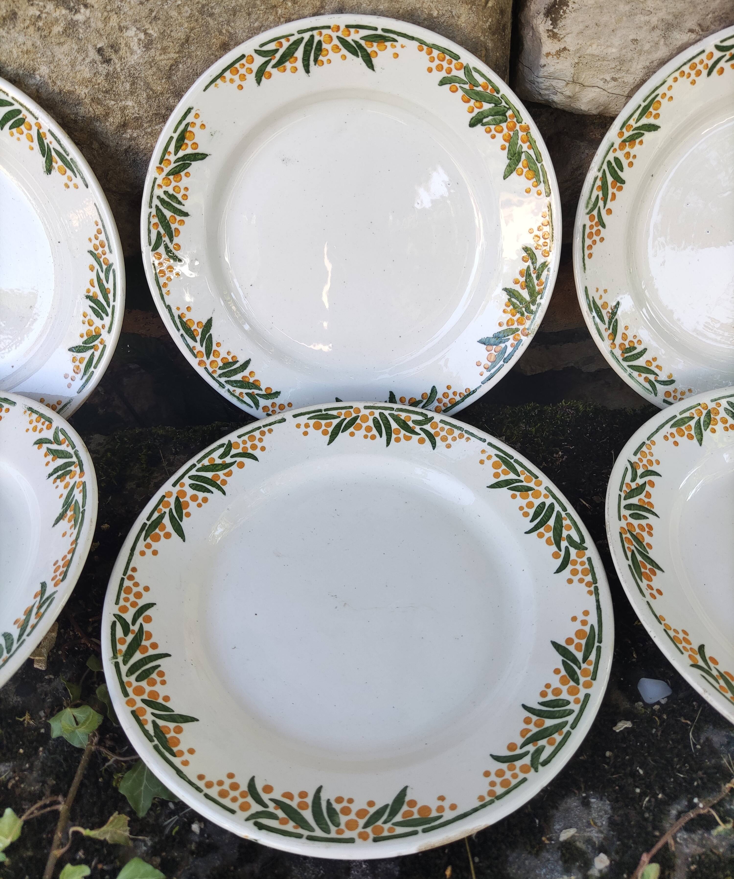 6 Mimosa HBCM dessert plates