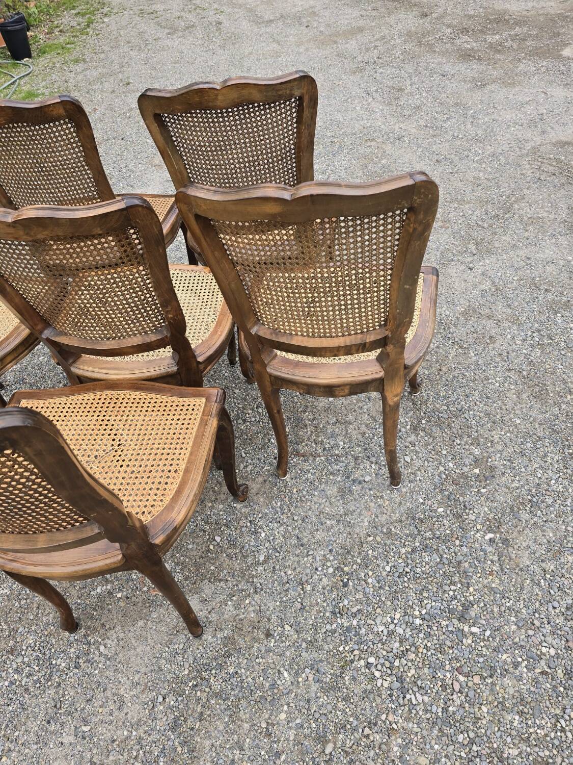 Set of 6 Louis XV chairs in wood and cane