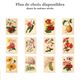 Botanical Engraving 1911 - Dahlias by J. Guillot - Flower, floral lithograph plate