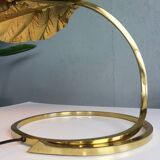 Tommaso Barbi "Rhubarb" table lamp by Bottega Gadda Italy, 1970