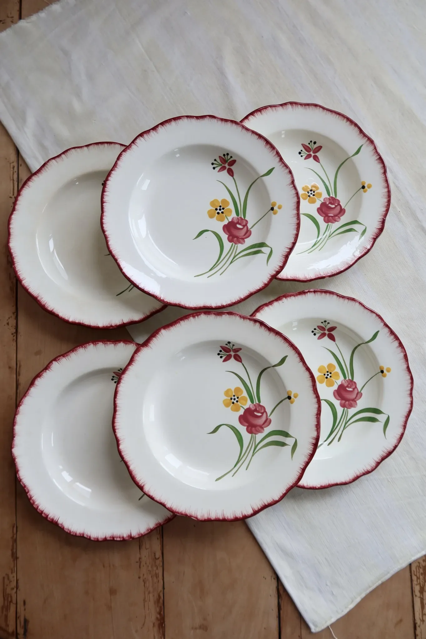6 vintage deep plates Terre de Fer Salins model Pierrette