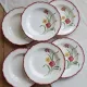 6 assiettes creuses vintage terre de fer Salins modèle Pierrette