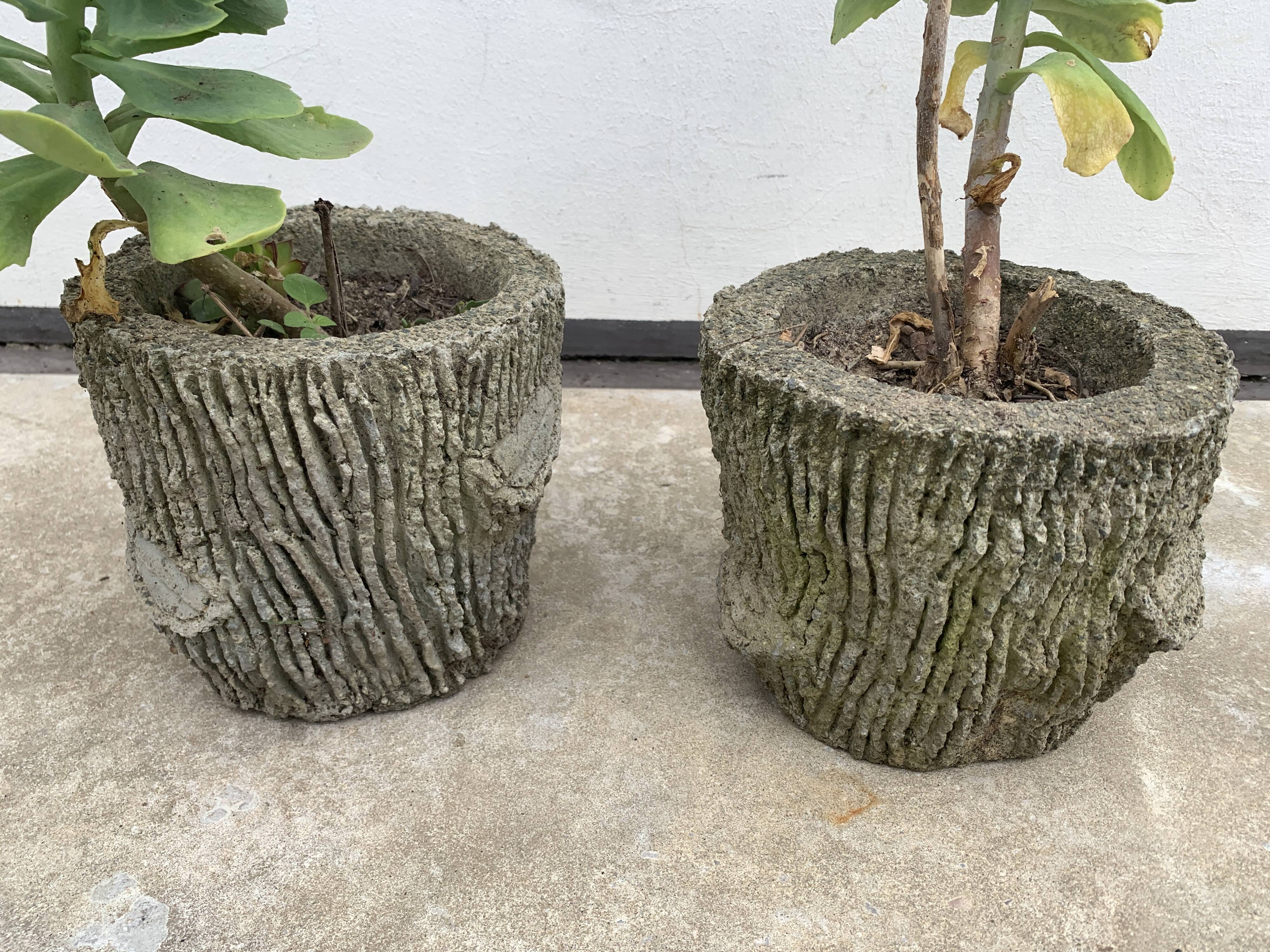 Two cement planters imitation tree trunks