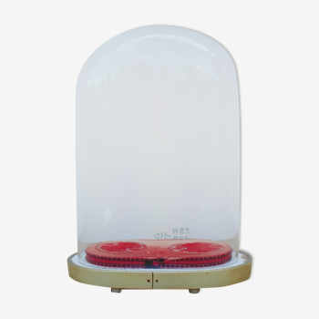Oval wedding globe in glass 28 cm high