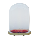Oval wedding globe in glass 28 cm high