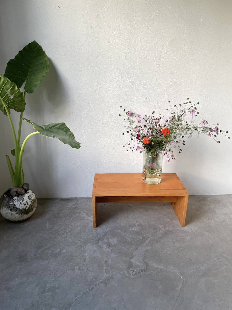 Maison Regain pine coffee table