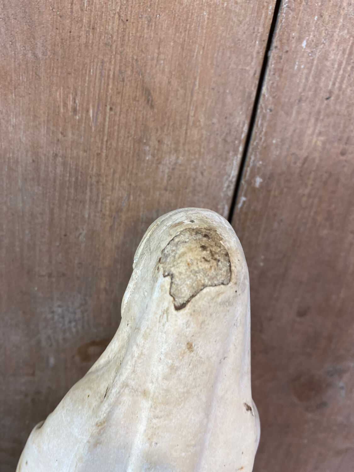 Virgin Mary ancient plaster