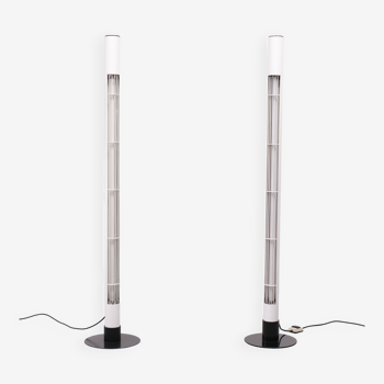 Standing Fluorescent Tube Floor Lamp, 1980s, Italy