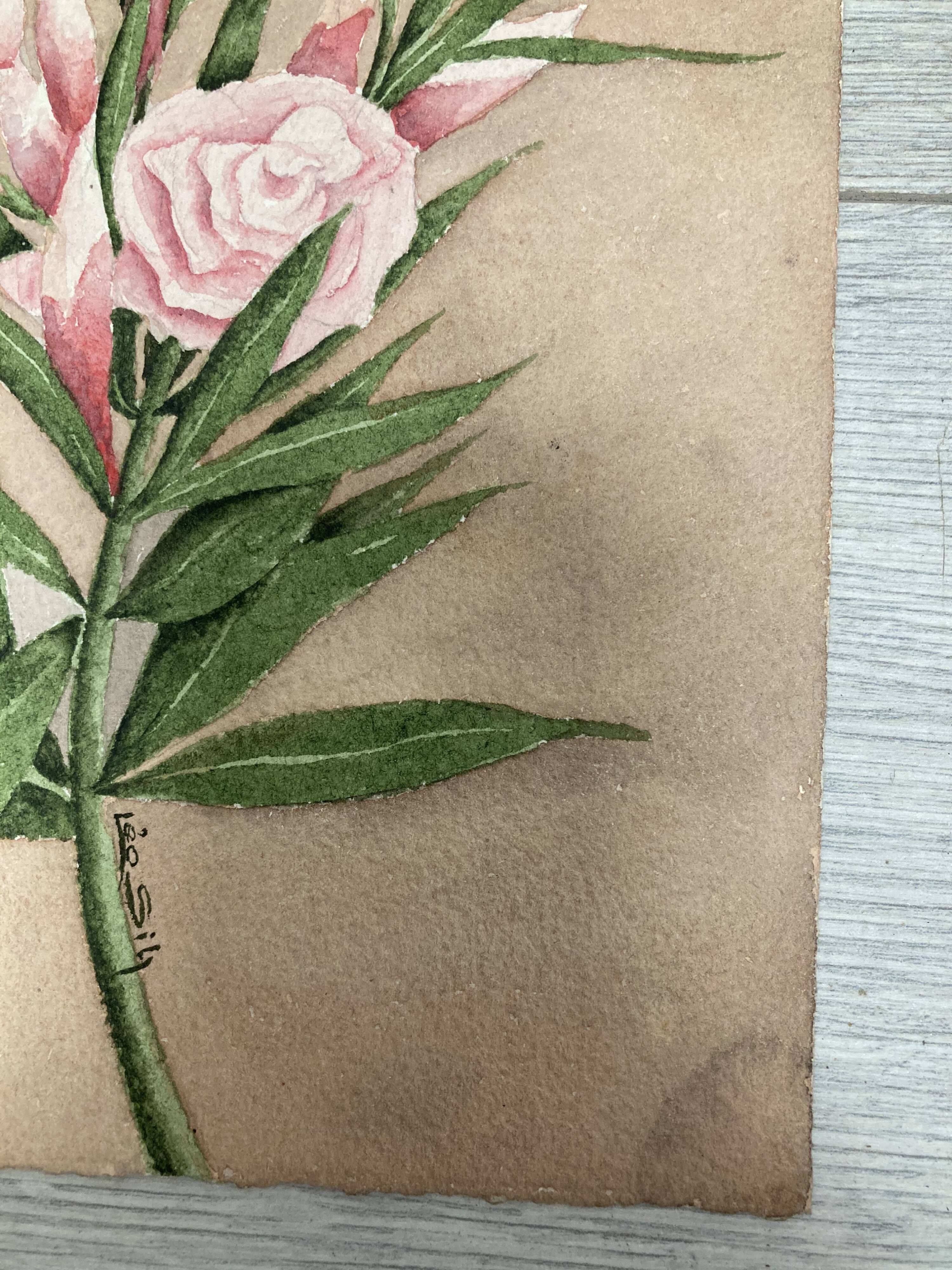 Signed watercolor with oleander flowers
