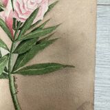 Signed watercolor with oleander flowers