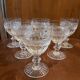 6 crystal glasses of Saint Louis model Trianon h 14 cm