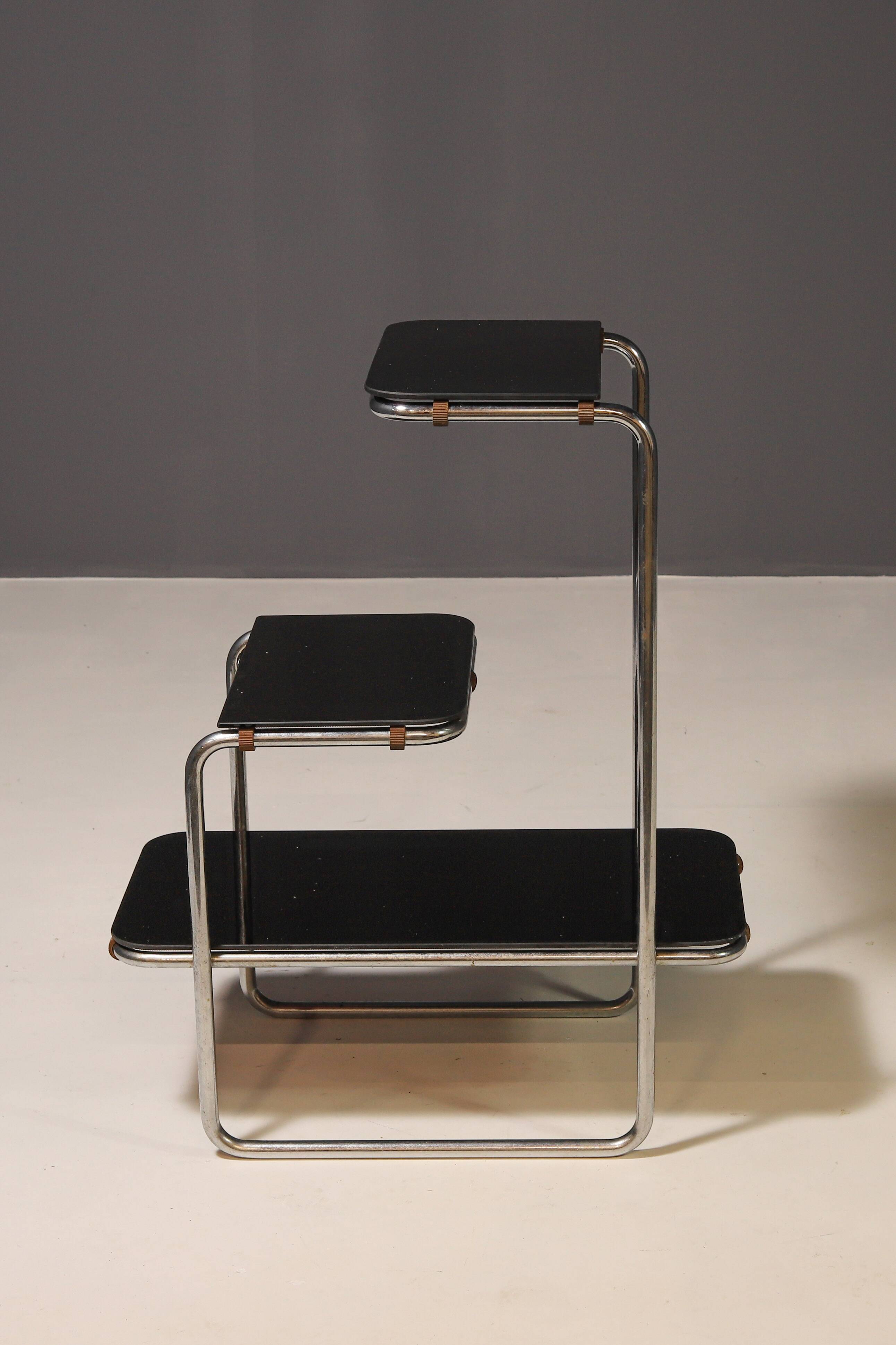 Functionalist Étagère B8 by Anton Lorenz for Slezák company, 1930s–1940s