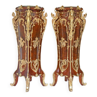 Pair of important Louis XV style pedestals