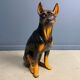 Vintage ceramic sculpture of a Doberman, 1960s