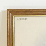 Lithography of Orchidee Board ancient golden frame Deco loft No.2