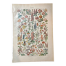 Lithographie sur les fleurs de 1922