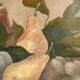 Nature morte vintage, signée Dihlmann, 1934
