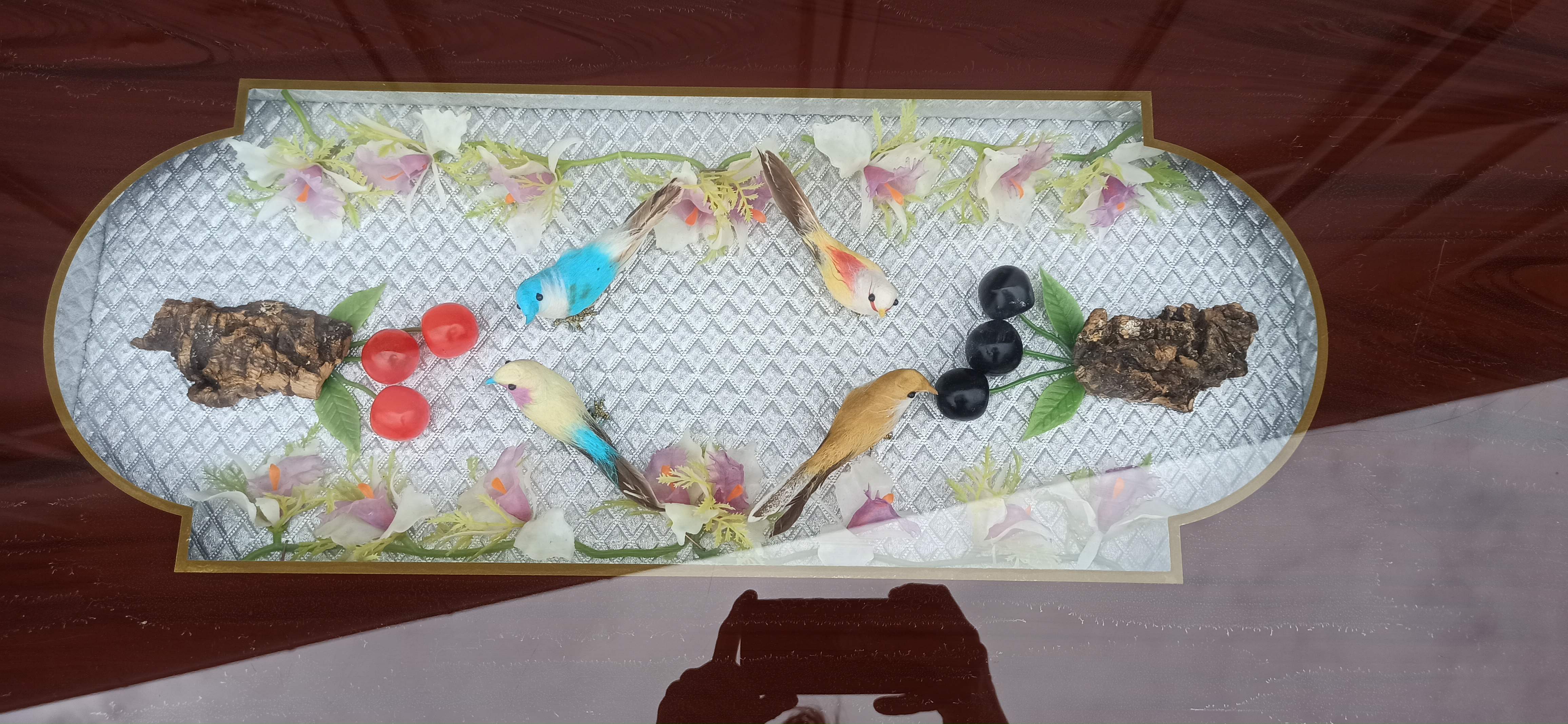 Coffee table of the 50s compass showcase bird and cherry
