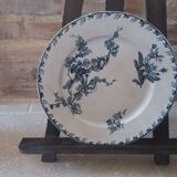 6 Sarreguemines plates