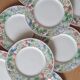 8 Villeroy and Boch Catalina plates