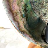Vintage abalone shell lamp