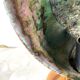 Lampe vintage coquillage ormeau