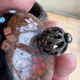 Chinese cloisonné ginger jar – floral and bird decoration – 1950-70