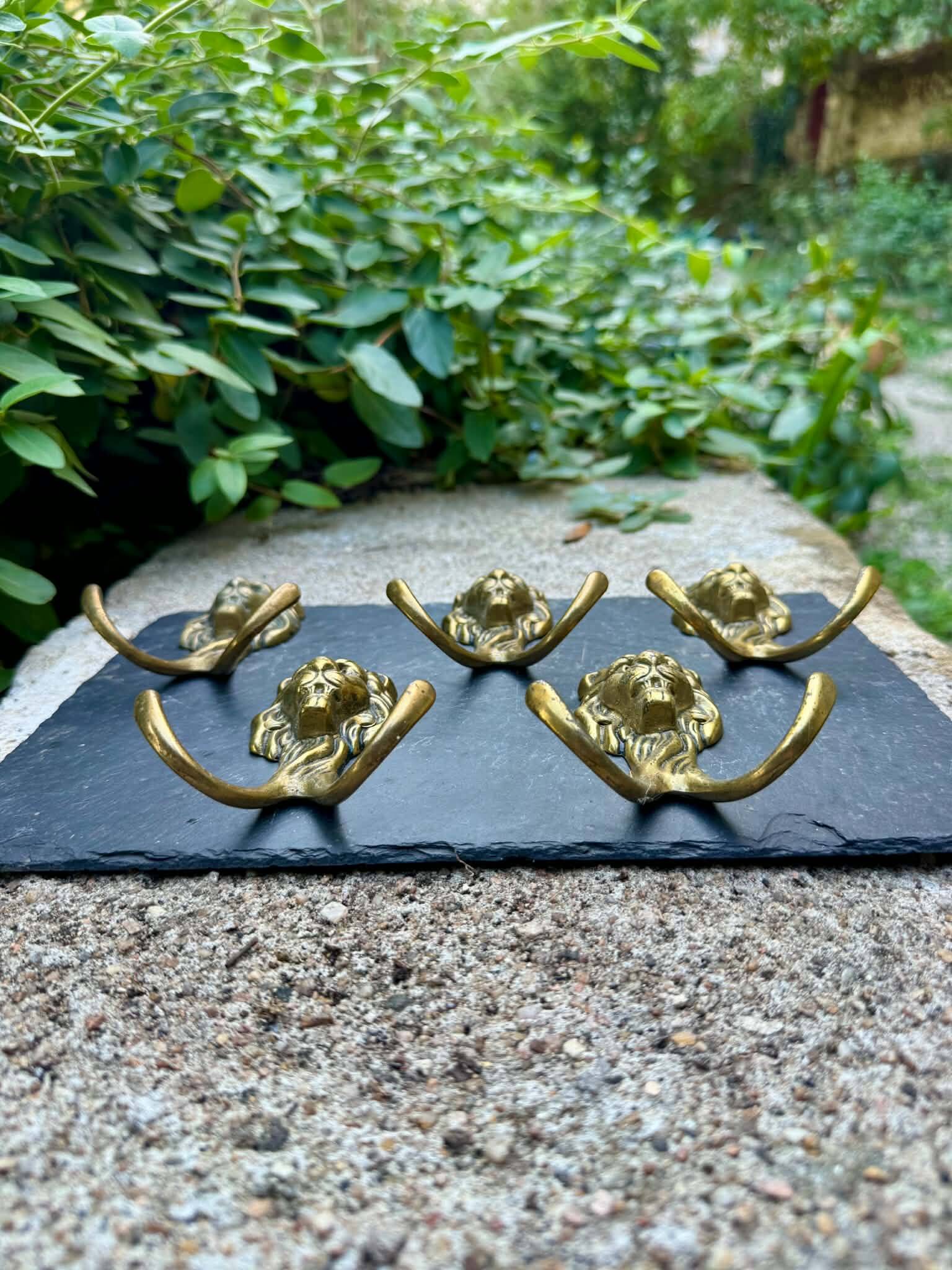 5 lion coat hooks in solid brass Art Nouveau