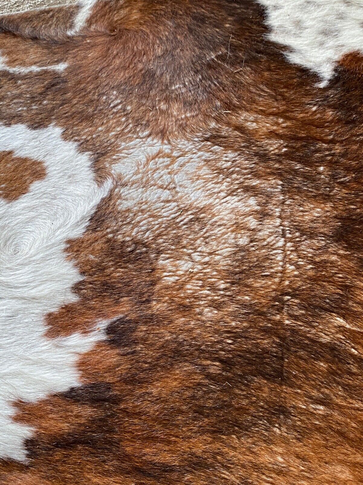 Cowhide carpet white and brown 1970 230 x 219