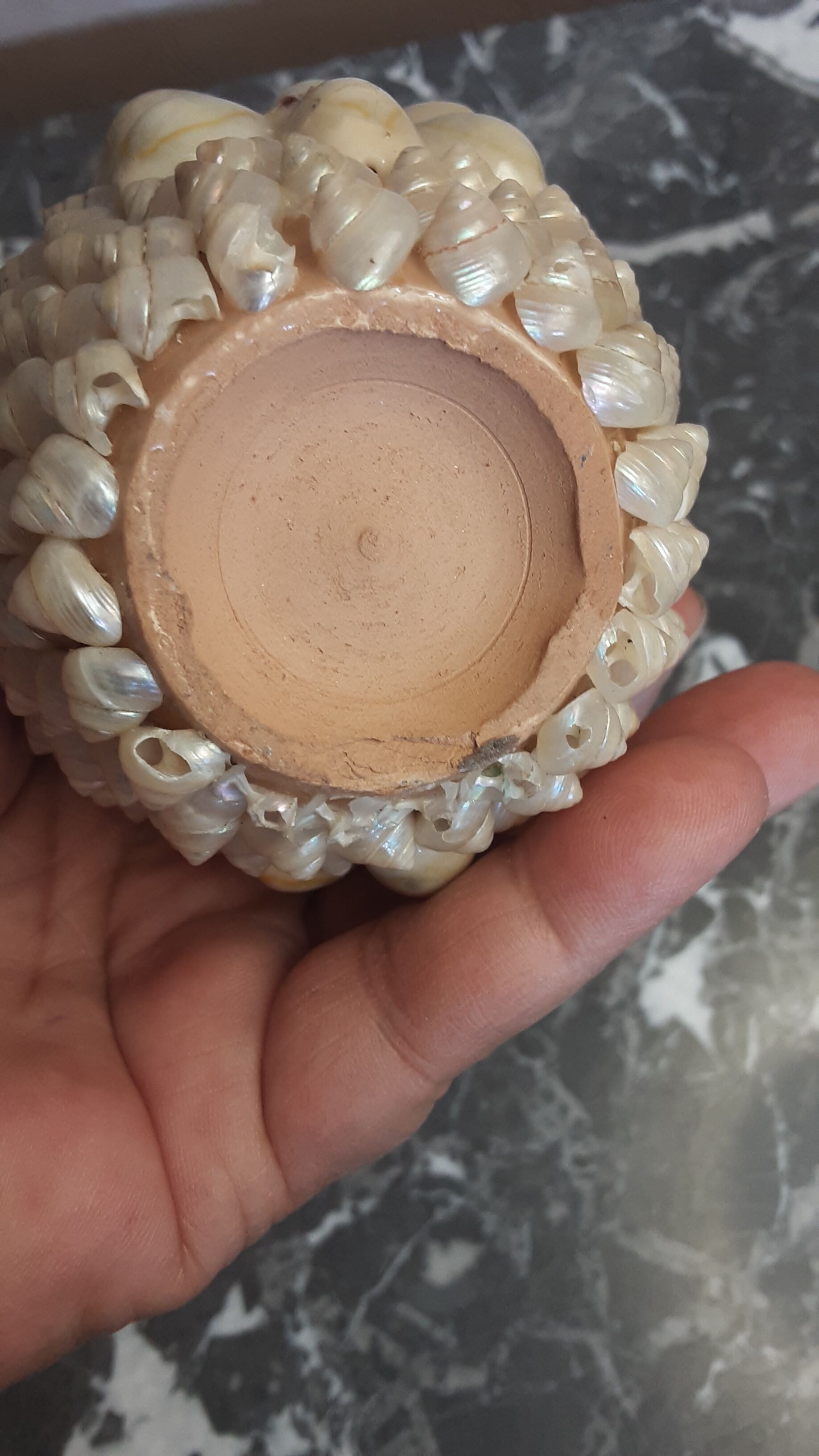 Vase terracotta shells - year 70