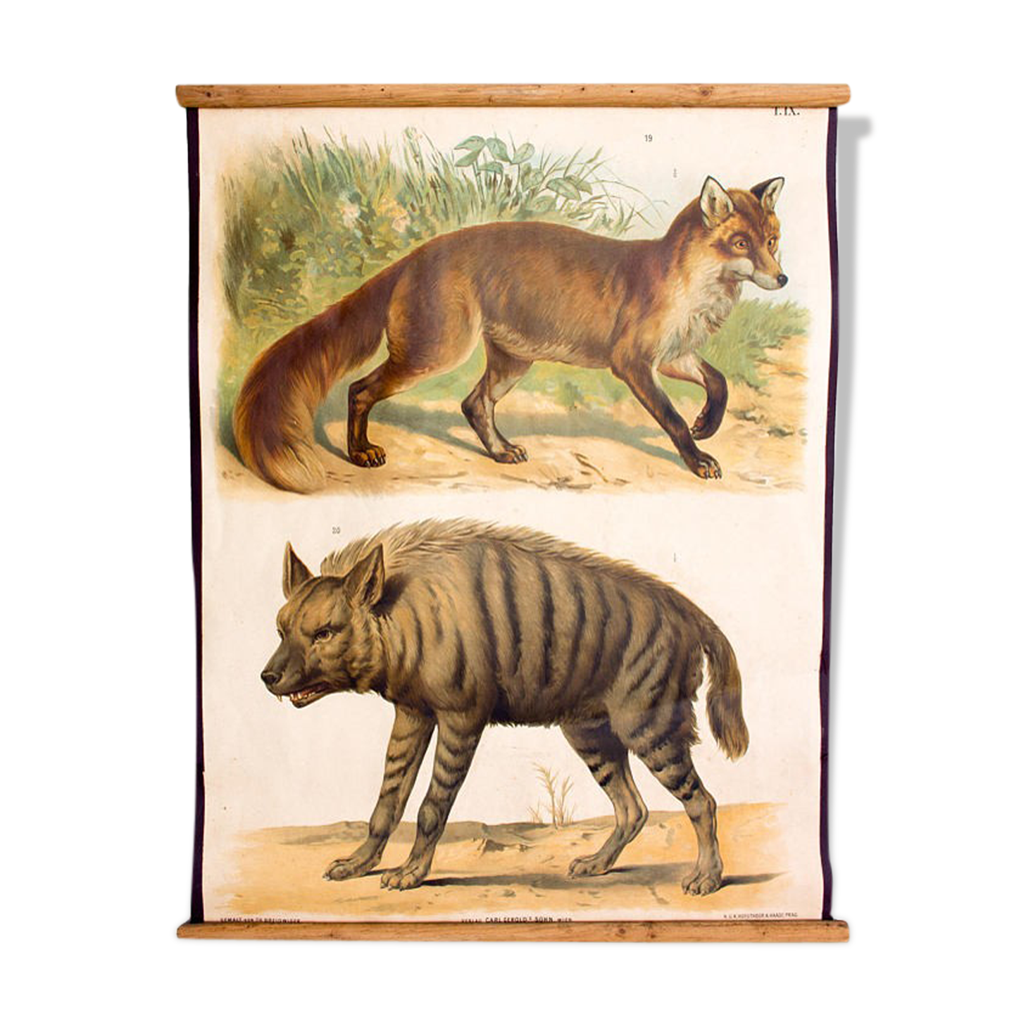 Poster "Hyena, Fox" th. Breidwiser for Gerold & Sohn 1879