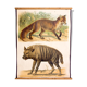 Poster "Hyena, Fox" th. Breidwiser for Gerold & Sohn 1879