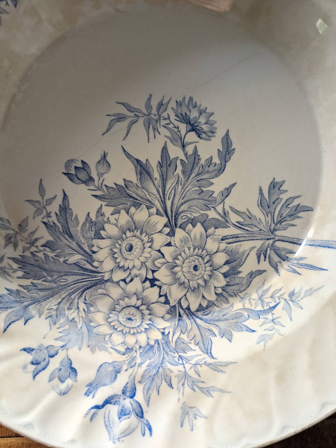 Dish Badonviller Summer