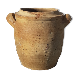 Terracotta pot