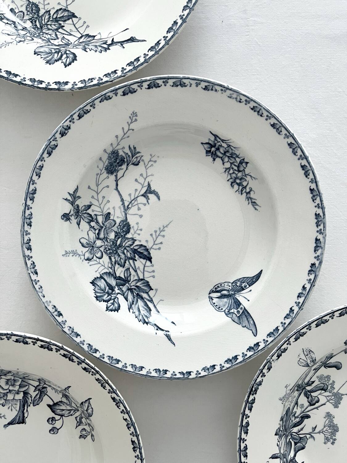 4 deep plates ironstone butterflies "Carmen" Sarreguemines