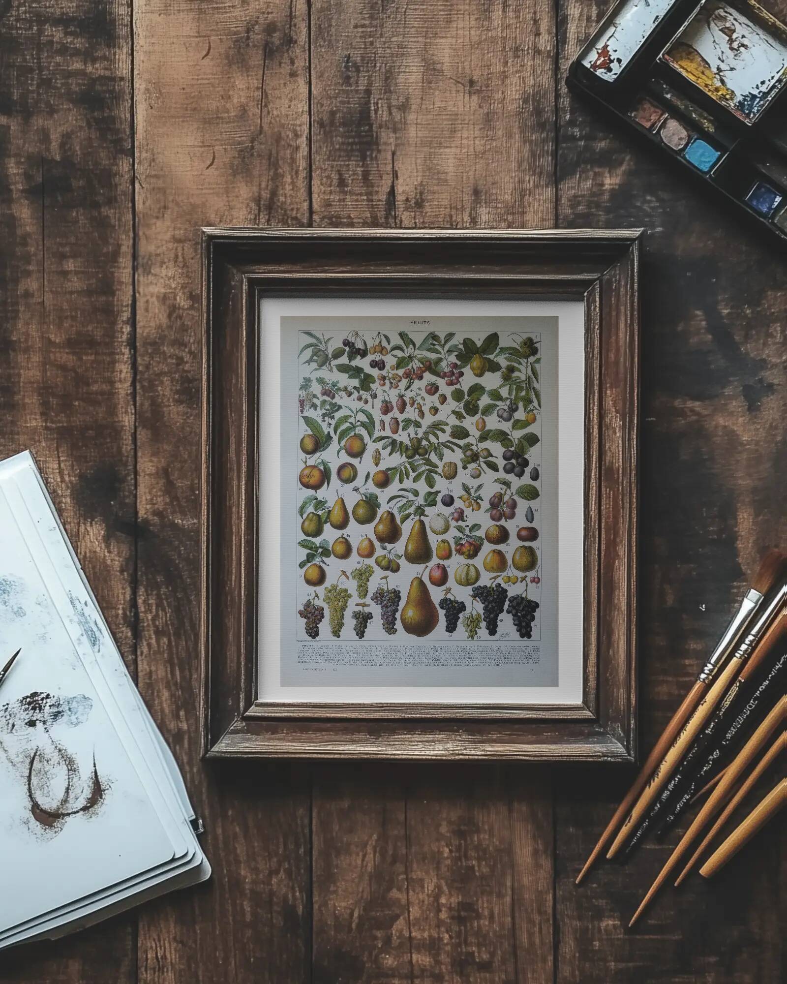Original lithograph on fruits
