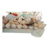 Miroir biseauté, recouvert d'une accumulation de coquillages de collection et de branches de corail