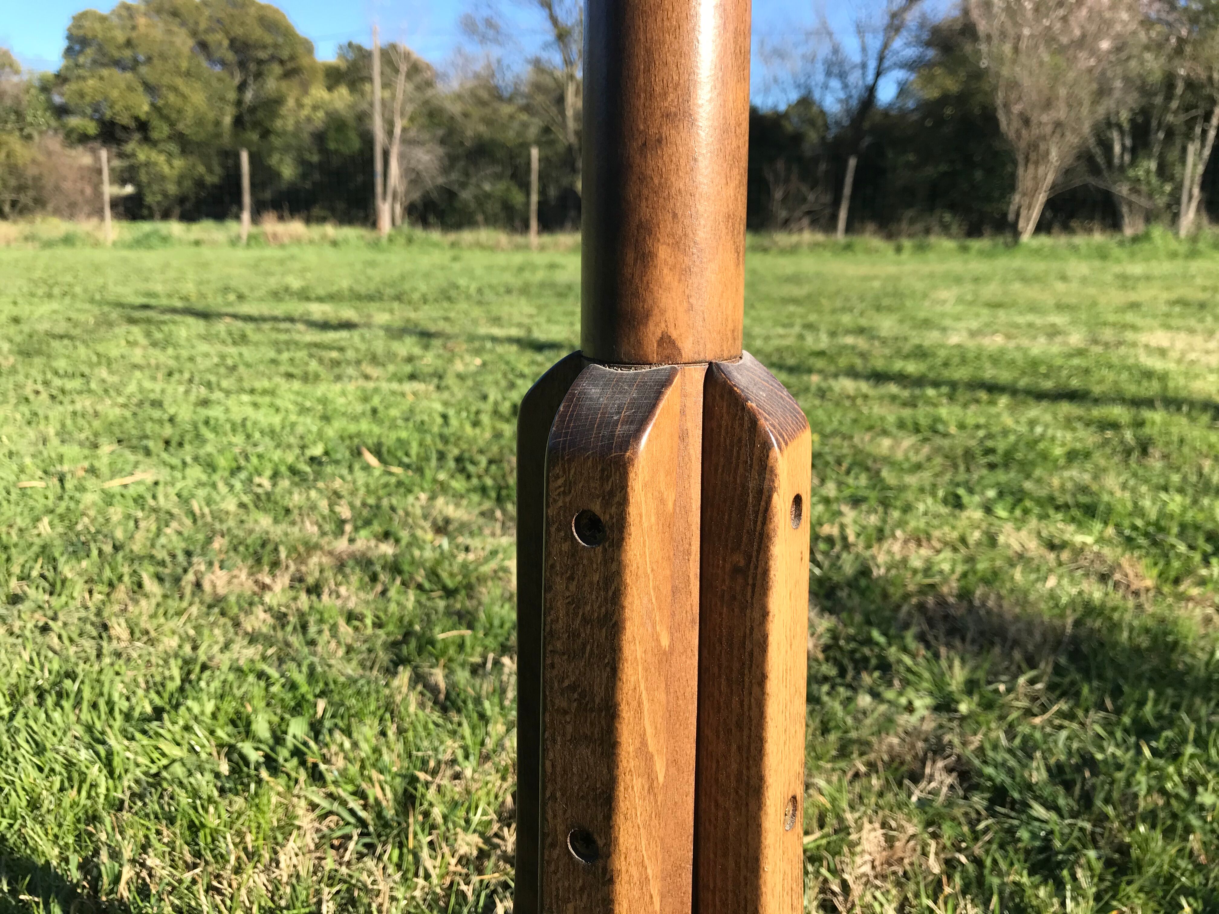 Curved wooden parrot coat door