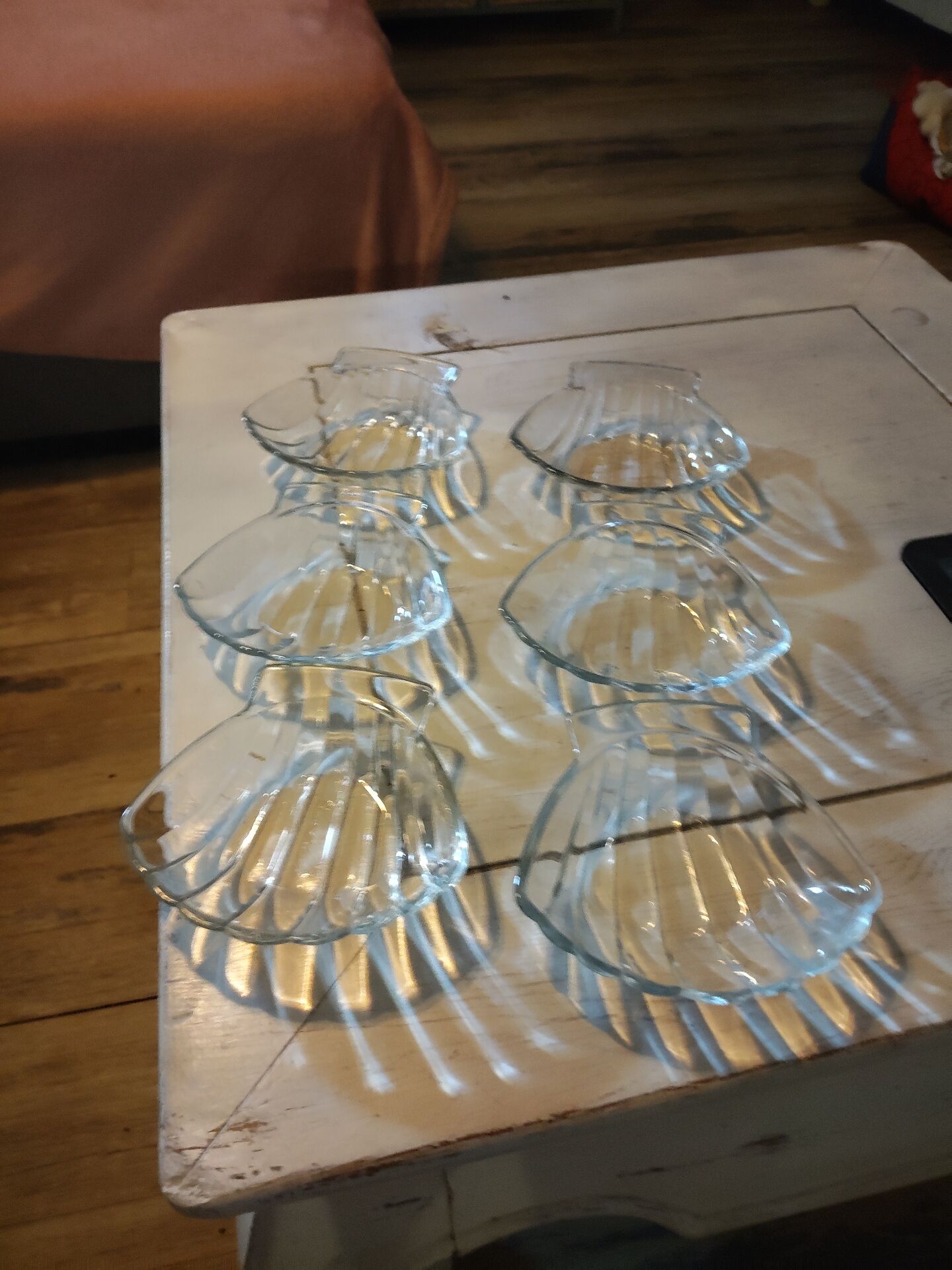 Pack of 6 scallop shells
