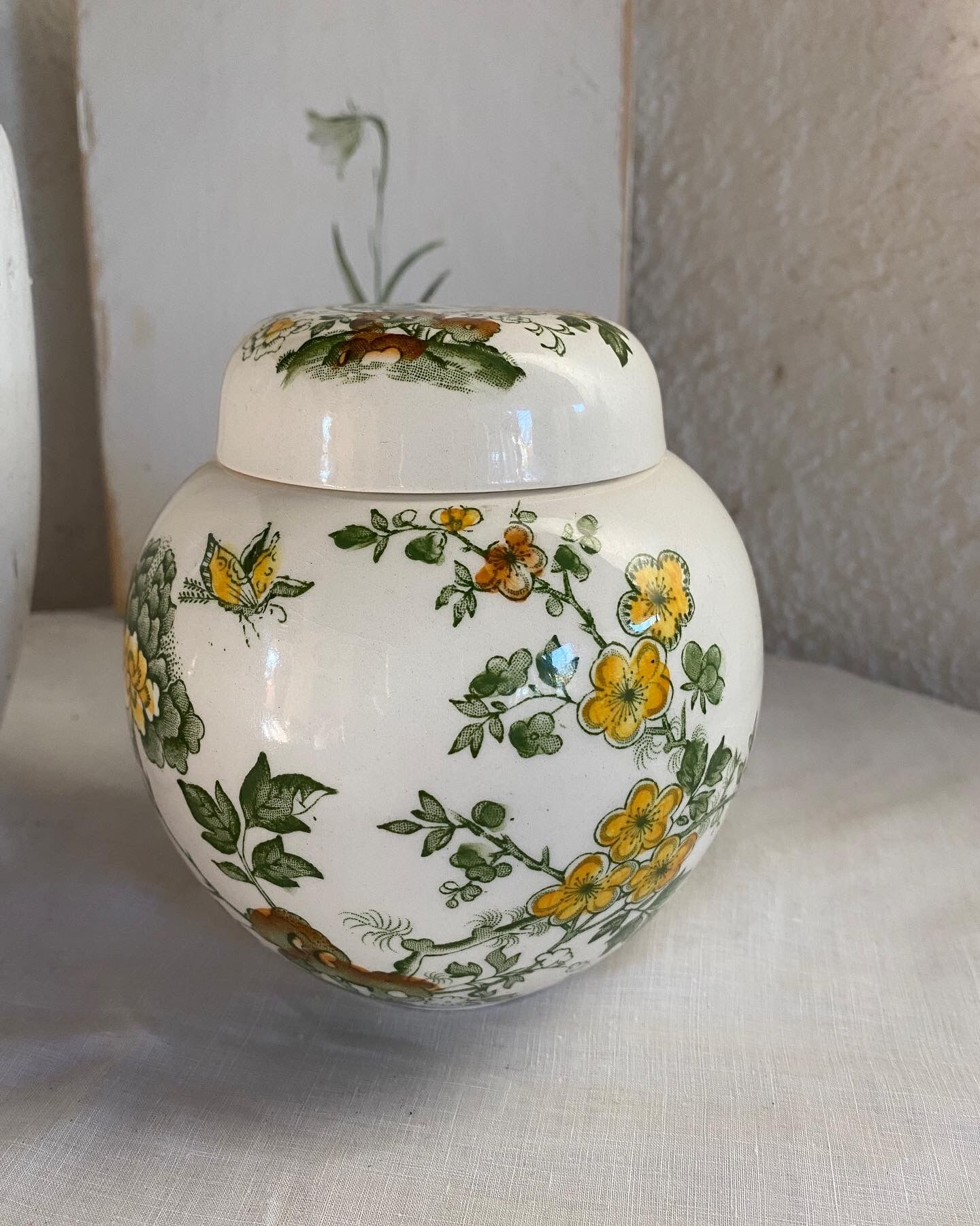 Mason's stamped tea pot or candy box