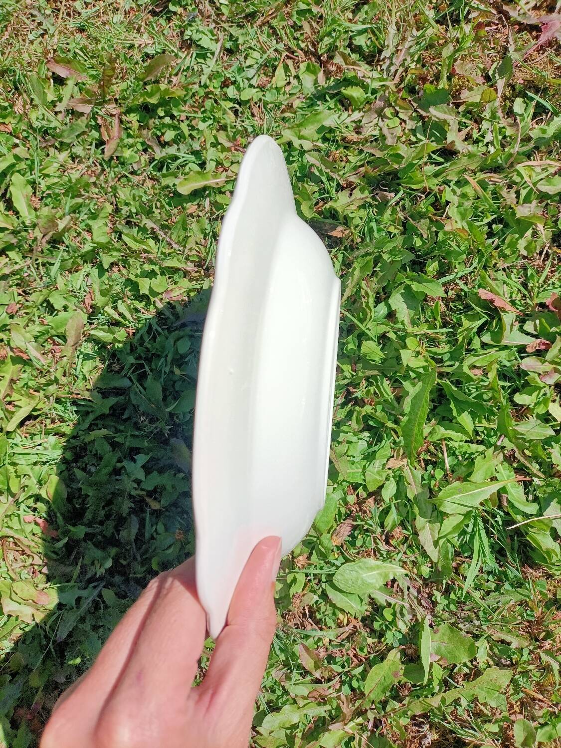 Soup plates x6 Digoin Sarreguemines 💐