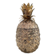 Maoro Manetti seau glace ananas