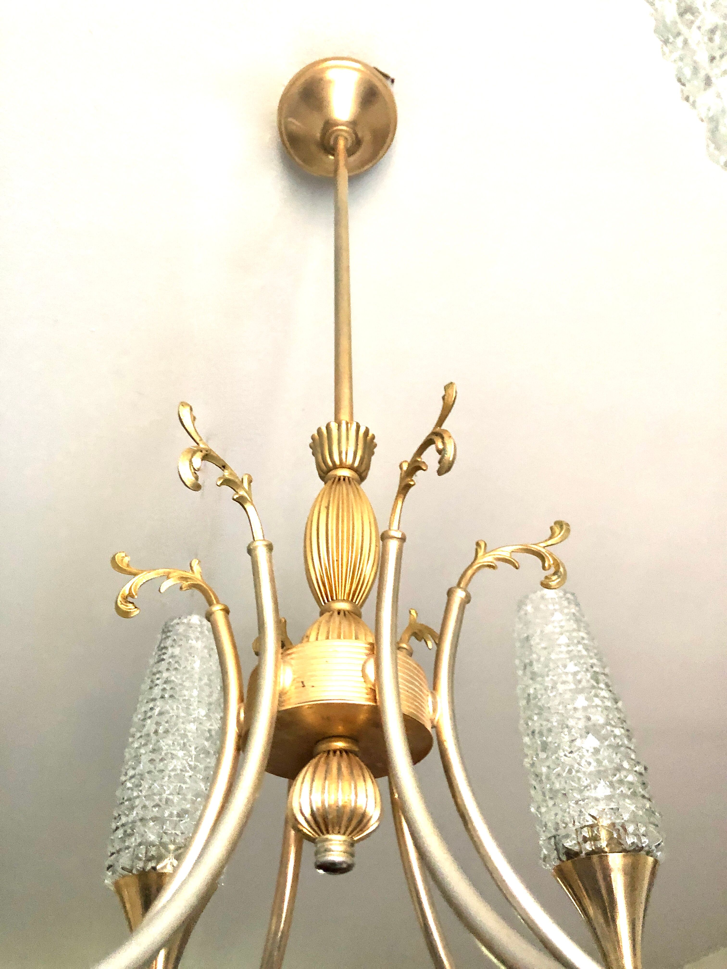 Lustre doré néoclassique 6 tulipes 1960