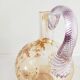 Glass pitcher decorated with 19th century flowers