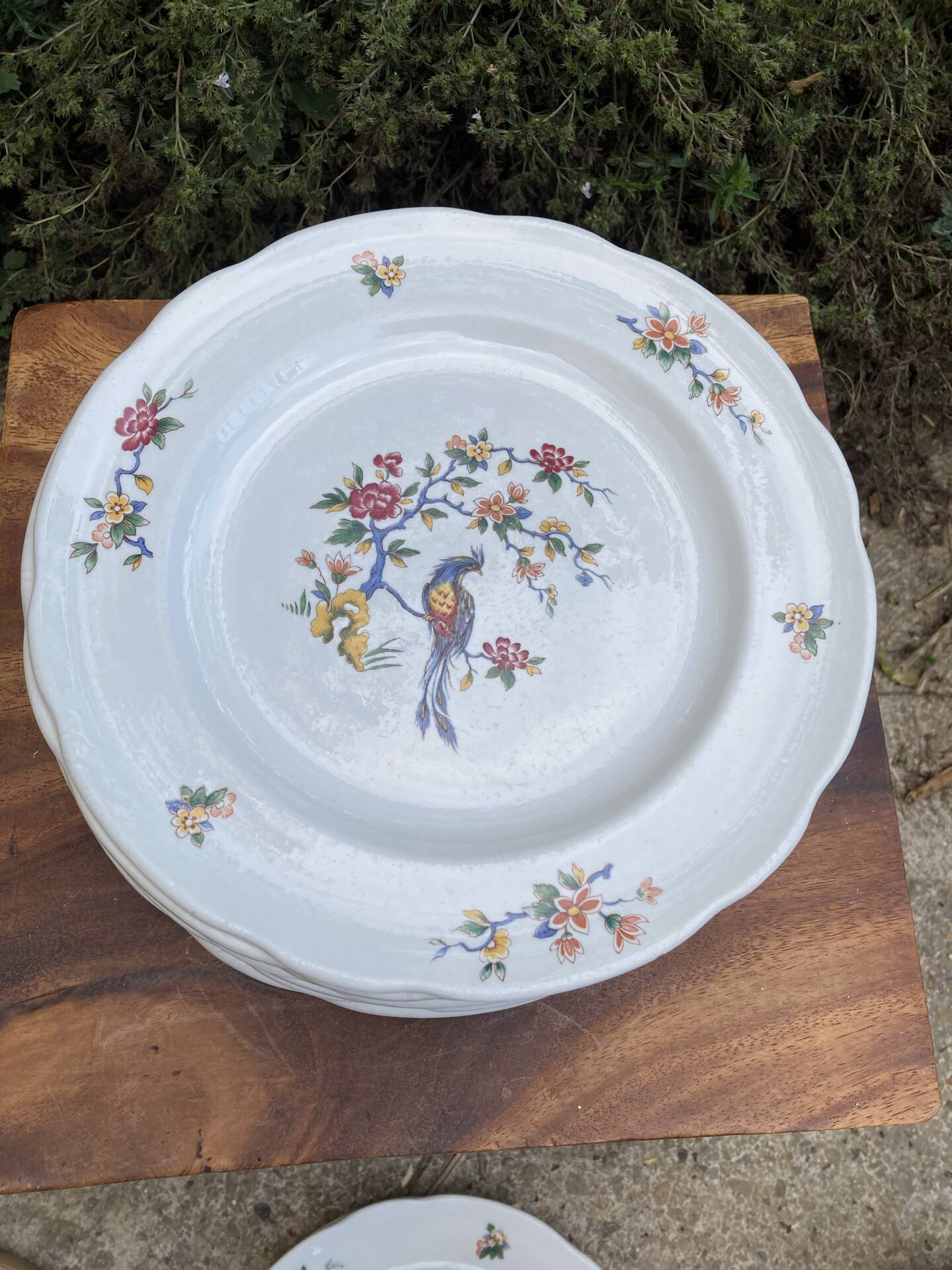Sarreguemines plates paradise birds / Phoenix