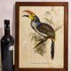 Gould lithograph enhanced hand Toucan Araçari