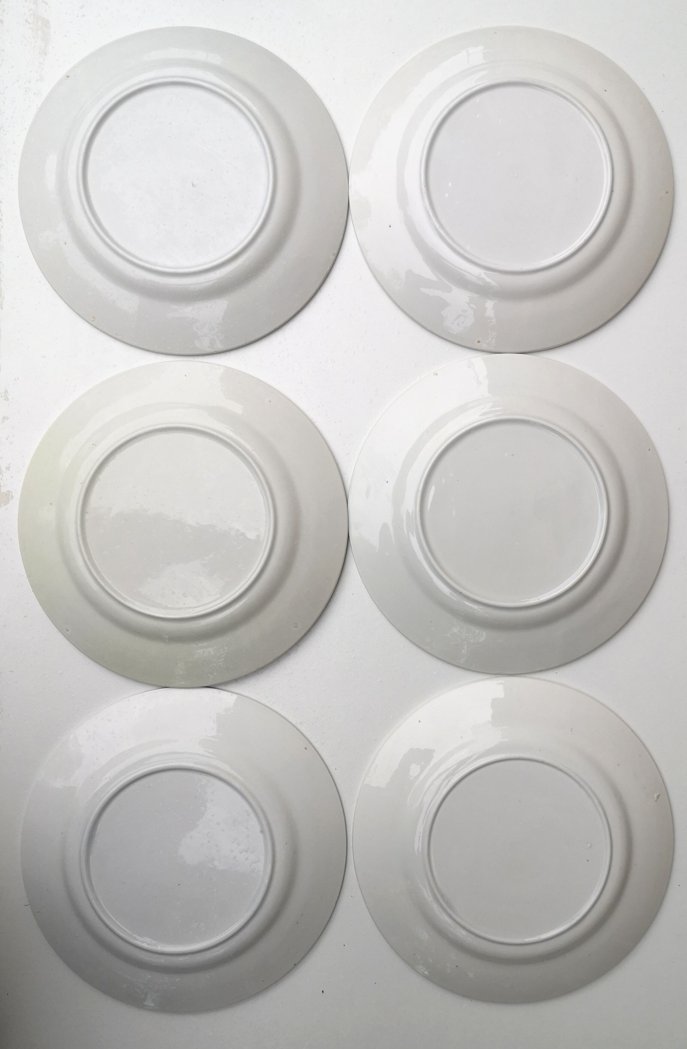 Flat plates "birds" badonviller