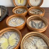 Butterfly coasters, 1970s