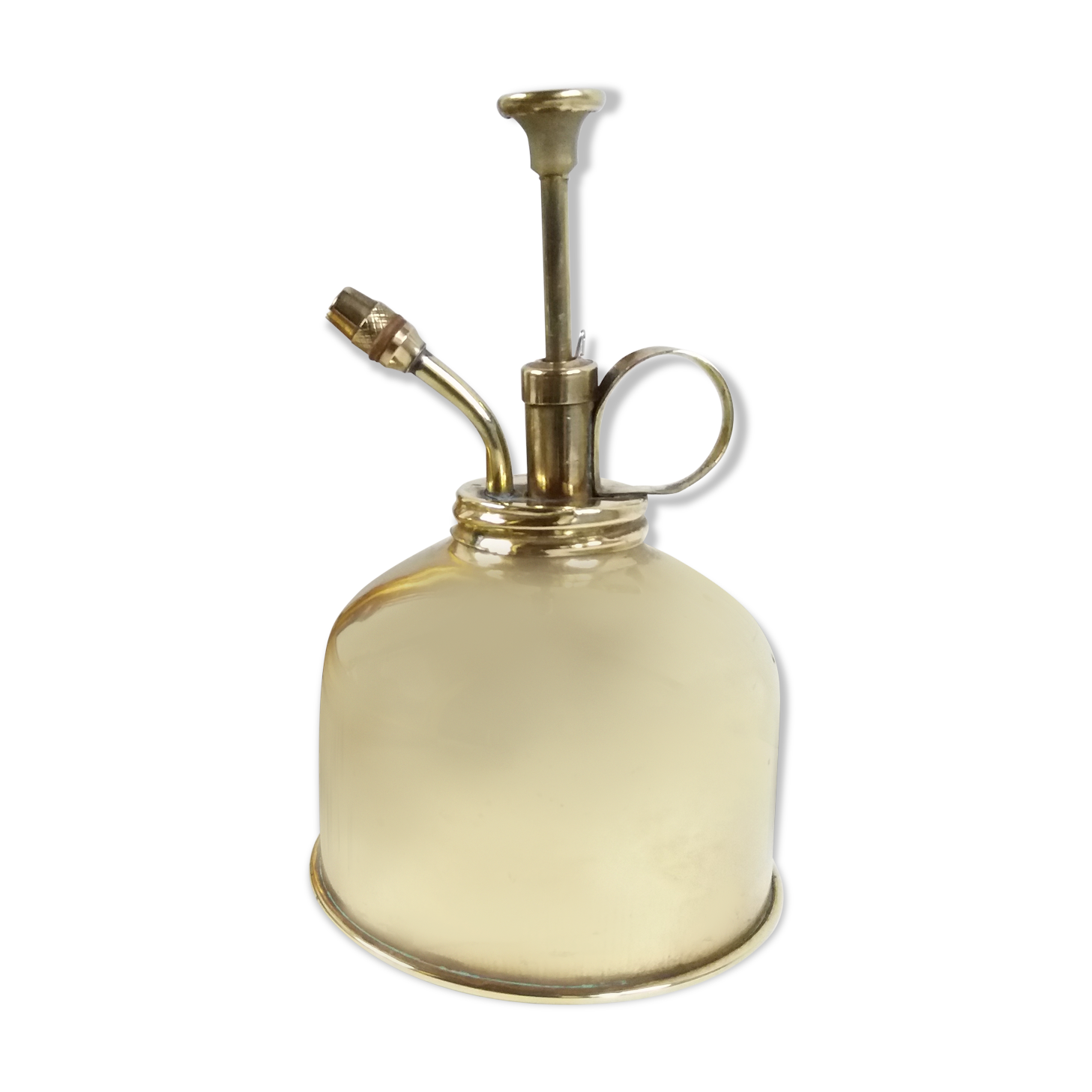 Vintage brass plant spray